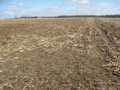 Property photo 20 - 127 Acres Offered in 4 Tracts